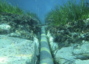 民進黨聯外用口水修電纜