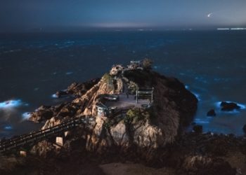 金、馬發展觀光不是騙人把錢花光