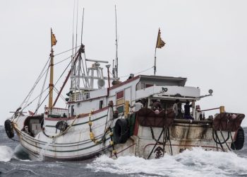 政府無道，逼民為盜