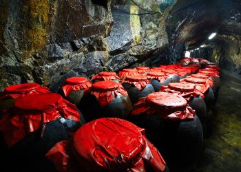 馬酒千萬別步入金酒的窘境