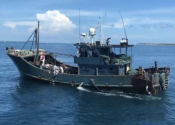 解決陸籍漁船侵擾問題，中央、縣府均責無旁貸！