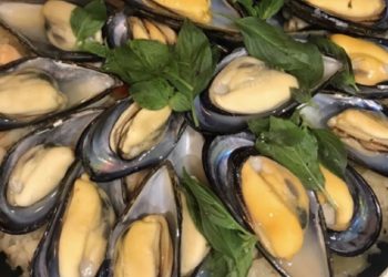 馬祖養殖漁業應有絕對的成長空間