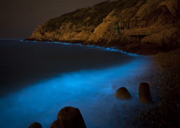 別讓藍眼淚成為觀光客的眼淚