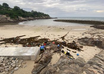 請陳忠義局長即刻建議縣府成立海灘清潔隊吧！