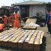 海巡查緝抓不完!走私防線完善預防更重治療