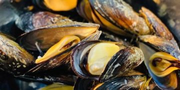 「馬祖淡菜之星選拔賽」只是證明從餐桌到產業？