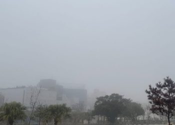 當霧鎖馬祖船班大亂時能適時給予更精進的服務